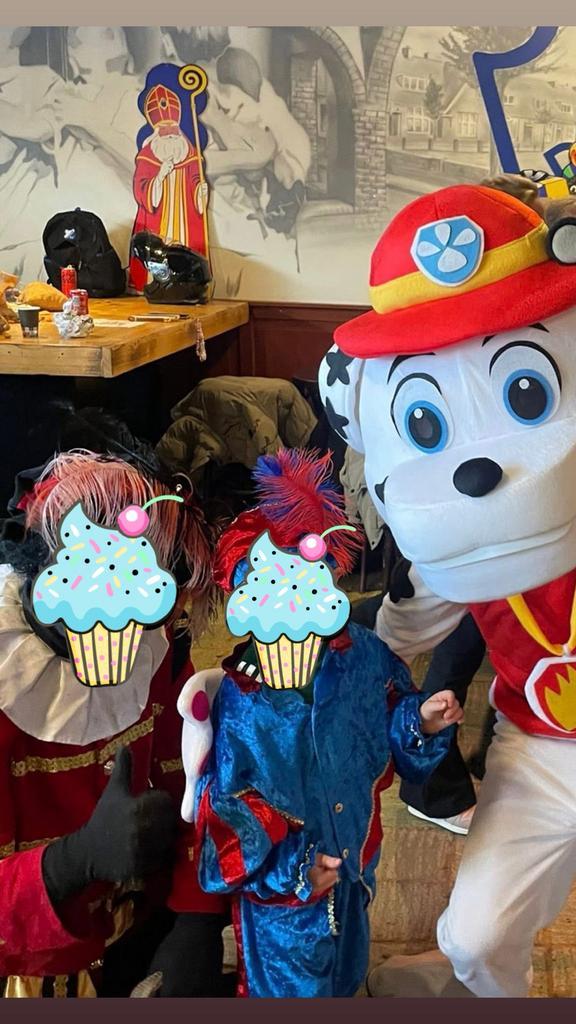 Marshall Mascotte te huur - Paw Patrol, Kinderen en Baby's, Carnavalskleding en Verkleedspullen, Nieuw, Jongen of Meisje, 170 of groter