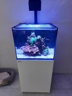 Red Sea Reefer 170 G1 Wit zoutwater rifsysteem, Dieren en Toebehoren, Vissen | Aquaria en Toebehoren, Ophalen, Gebruikt, Leeg aquarium