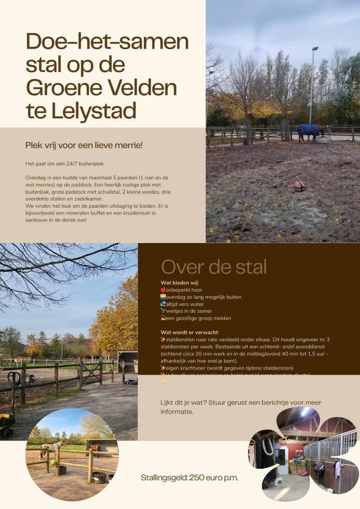 Plekje vrij op onze kleinschalige stal, Dieren en Toebehoren, Stalling en Weidegang, Stalling