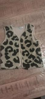 Schattig warm vestje maat 86, Ophalen, Zo goed als nieuw, Prenatal, Truitje of Vestje