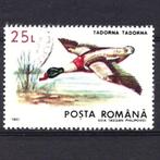 vogel eend Roemenië 1993 stempel + gom ongebruikt, Verzenden, Gestempeld, Dier of Natuur