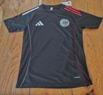 Ajax nieuwste Trainee setje!! 2025 2026 model, Maat XL, Ophalen of Verzenden, Nieuw, Shirt