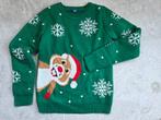Kersttrui groen hamster 158/164, Ophalen of Verzenden, Zo goed als nieuw, Jongen of Meisje, Trui of Vest