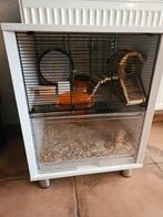 Prachtig handige hamsterkooi (kast), Kooi, Minder dan 75 cm, Minder dan 60 cm, Ophalen of Verzenden