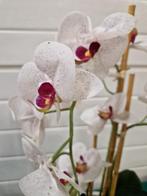 kunstorchidee in pot, Ophalen of Verzenden, 'T Olde Gre-j, Info@toldegrej.nl, Endepoelstraat 20f Didam