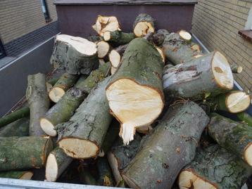 Kastanje kachelhout haardhout kastanjehout  beschikbaar voor biedingen