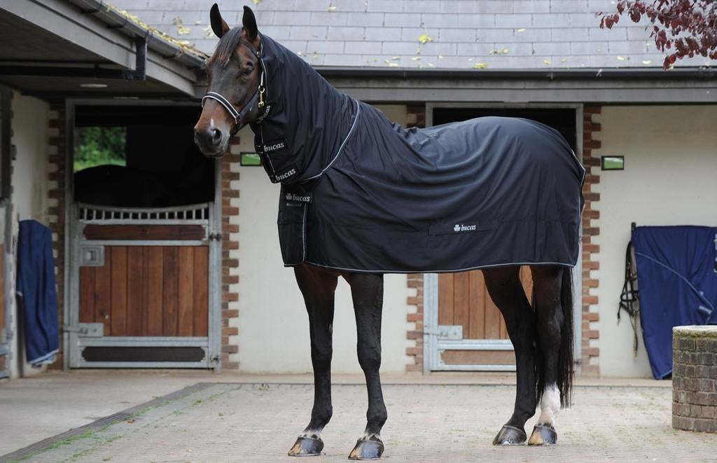 Bucas Shamrock Power Full Neck paardendeken, Dieren en Toebehoren, Paarden en Pony's | Dekens en Dekjes, Ophalen of Verzenden