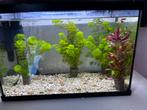Aquarium, Ophalen of Verzenden, Zo goed als nieuw