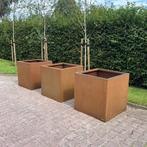 bloembakken 80x80x80 cm CORTEN staal, Ophalen, Vierkant, Nieuw, Metaal