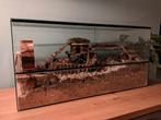 Terrarium (100x40x50 cm) met schuiframen, Dieren en Toebehoren, Hok, 75 tot 110 cm, Ophalen, Minder dan 60 cm