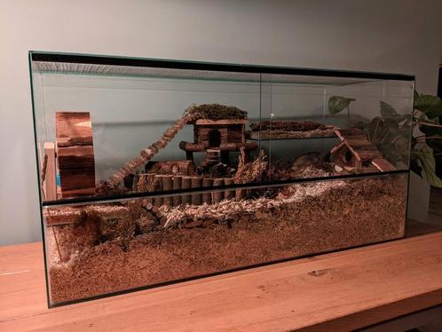 Terrarium (100x40x50 cm) met schuiframen, Dieren en Toebehoren, Knaagdieren en Konijnen | Hokken en Kooien, Zo goed als nieuw
