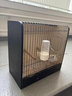 Vogel reis kooitje, Ophalen, Gebruikt, Hout, Vogelkooi