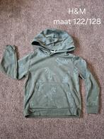 Trui maat 122/128, Kinderen en Baby's, Ophalen of Verzenden, Zo goed als nieuw, Jongen, Trui of Vest