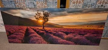 Foto op glas beschikbaar voor biedingen