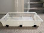 Lage plastic box op wieltjes, Doe-het-zelf en Verbouw, Kratten en Dozen, Ophalen, Gebruikt, 50 tot 75 cm, Minder dan 35 cm