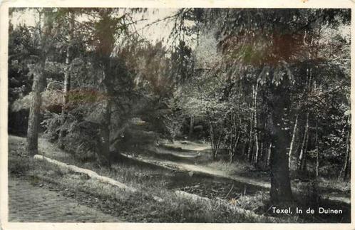 (377-568-029) Texel In de Duinen, Verzamelen, Ansichtkaarten | Nederland, Noord-Holland, Verzenden