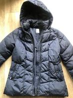 Donkerblauwe winterjas maat S, Kleding | Dames, Jassen | Winter, Gedragen, Blauw, Ophalen of Verzenden, Maat 36 (S)