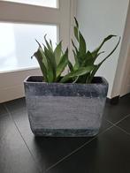 2 grijze smalle bloempotten, Tuin en Terras, Bloembakken en Plantenbakken, Ophalen, Steen, Minder dan 30 cm, Rond