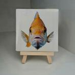 Wandtegeltje fishy fish, Dieren en Toebehoren, Ophalen of Verzenden, Nieuw
