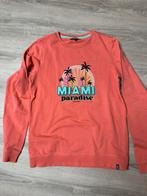 Sweater Cars mt 16 (170/176) zeer netjes, Meisje, Trui of Vest, Ophalen of Verzenden, Zo goed als nieuw
