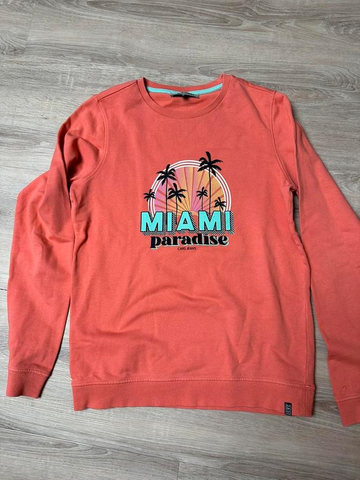 Sweater Cars mt 16 (170/176) zeer netjes, Kinderen en Baby's, Kinderkleding | Maat 158, Zo goed als nieuw, Meisje, Trui of Vest