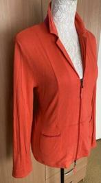 Luisa Cerano vest maat 46 [V], Kleding | Dames, Truien en Vesten, Ophalen of Verzenden, Zo goed als nieuw, Maat 46/48 (XL) of groter