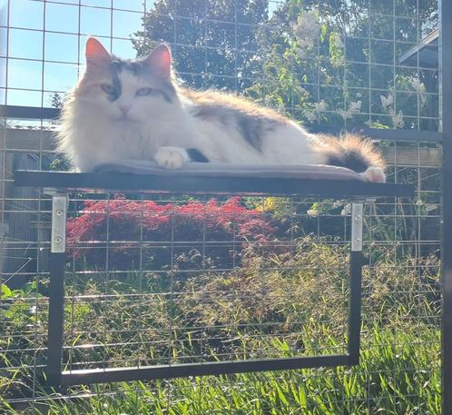 Ligplateau's voor in de kattenren! Nieuw., Dieren en Toebehoren, Katten-accessoires, Nieuw, Ophalen of Verzenden