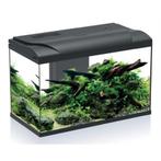 Platy aquarium, Ophalen, Leeg aquarium
