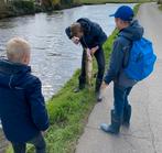 Visgids Rotterdam Roofvissen / Grote Snoeken, Ophalen of Verzenden, Zo goed als nieuw, Overige typen