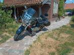 Suzuki VL 800 Intruder Volusia LC bj 2018, Motoren, Motoren | Suzuki, Chopper, Particulier