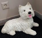 Heel mooi beeld boomer Hond, Ophalen, Zo goed als nieuw, Dier