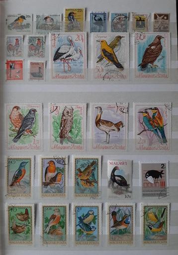 2 Kaarten Mooiste Vogels Nr. 2 Gestempeld beschikbaar voor biedingen