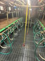 Gea melkstal IQ melkklauw, Ophalen, Vee