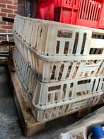 Pluimvee transport bak kist, Dieren en Toebehoren, Pluimvee | Toebehoren, Ophalen, Zo goed als nieuw, Overige typen
