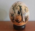 struisvogelei struisvogel ei afrika Aafrikaanse afrikaans, Ophalen of Verzenden