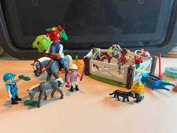 Playmobil paardrijclub 9262 beschikbaar voor biedingen