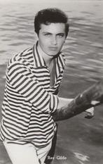 Ansichtkaart, Artiest,  Rex Gildo  (419), Verzamelen, Verzenden, Sterren en Beroemdheden