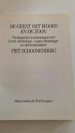 De geest het woord en de Zoon, Gelezen, Christendom | Katholiek, Ophalen of Verzenden, Piet Schoonenberg