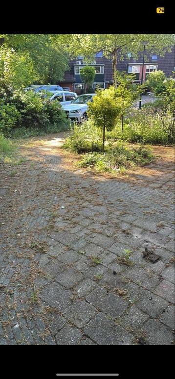 Zoek u een tuinman? beschikbaar voor biedingen