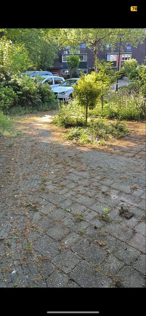 Zoek u een tuinman?, Tuin en Terras, Tuinschermen, Nieuw, Hout, 200 cm of meer, Ophalen of Verzenden