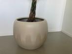 Bloempot beige diameter 53 cm hoogte 41 cm, Ophalen, Overige kleuren, Aardewerk of Porselein, Zo goed als nieuw