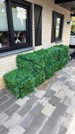 Stapelbare Kunsthaag blokken - snel een dichte afscheiding, Tuin en Terras, Ophalen, Overige soorten, Minder dan 100 cm
