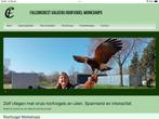 Roofvogel workshop falcon crest Eindhoven