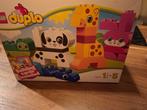 Duplo, Ophalen of Verzenden, Zo goed als nieuw, Jongen of Meisje