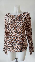 &co top maat xl, Bruin, ., Maat 46/48 (XL) of groter, Ophalen of Verzenden