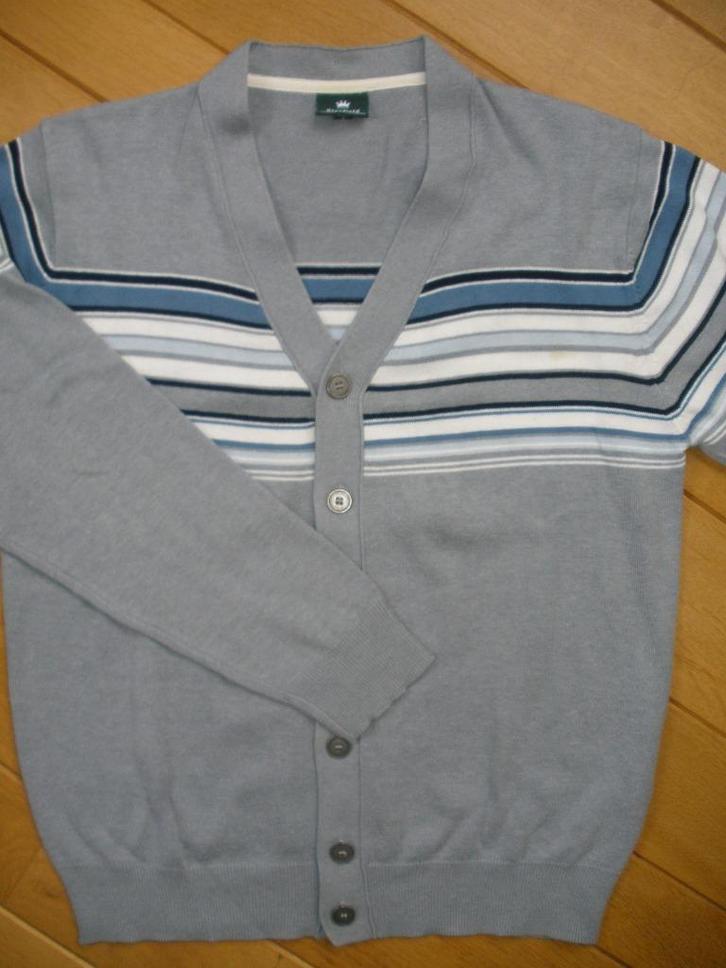 KINGFIELD vest grijs met strepen maat S, Kleding | Heren, Truien en Vesten, Zo goed als nieuw, Maat 48/50 (M), Grijs, Ophalen of Verzenden