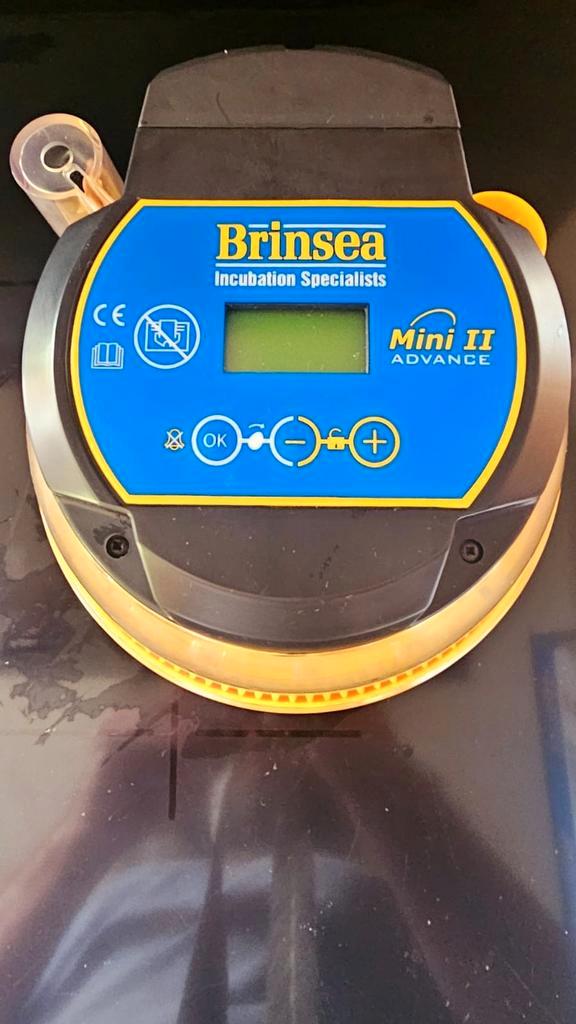 broedmachine !!!! DRAAIT AUTOMATISCH!!, Dieren en Toebehoren, Pluimvee | Toebehoren, Zo goed als nieuw, Broedmachine, Ophalen of Verzenden