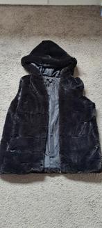 Nieuw Bont bodywarmer maat 34/36, Ophalen of Verzenden, Nieuw, Maat 34 (XS) of kleiner, Zwart