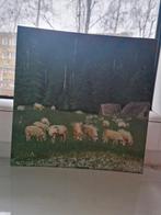 Natuur, Ophalen of Verzenden