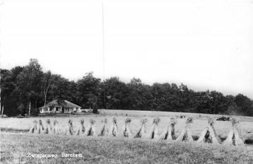 (387-192-039) Barchem Zwiepseweg beschikbaar voor biedingen